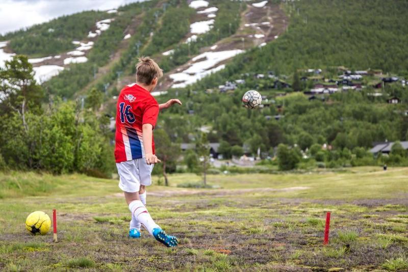 Vestlia Hotel Geilo